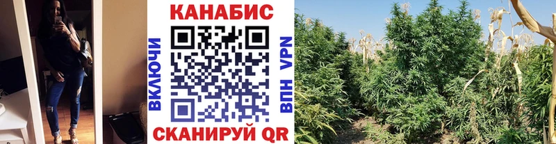 Где можно купить наркотики Новоузенск A-PVP  ГАШ  Галлюциногенные грибы  Бошки Шишки 