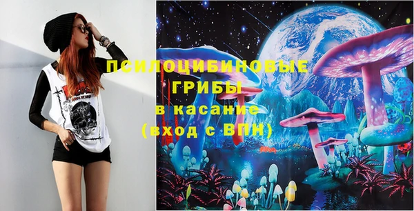 тгк Аркадак