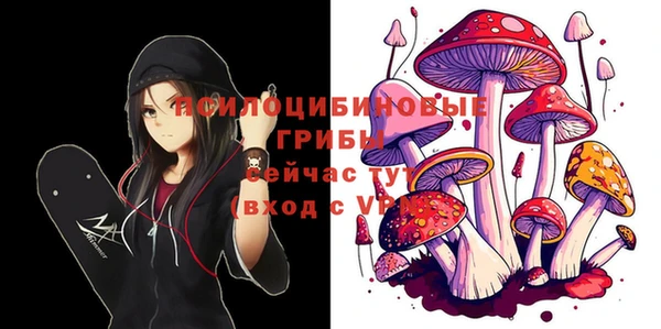 мдпв Арсеньев