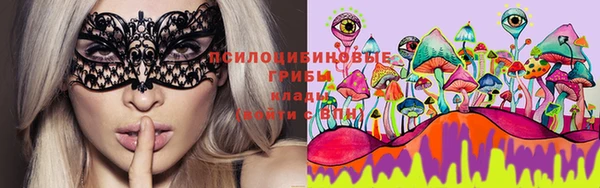тгк Аркадак
