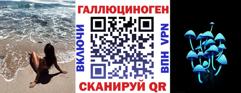 сколько стоит  Новоузенск  Псилоцибиновые грибы GOLDEN TEACHER 